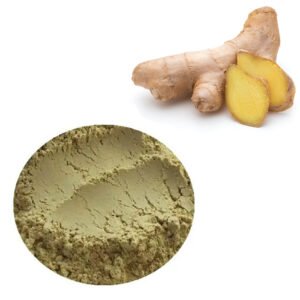 Ginger Extract powder – GRAS-certified, 6-shogaol rich, pharma-grade digestive and anti-nausea ingredient for functional beverages and supplements