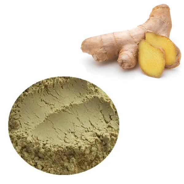 Ginger Extract powder – GRAS-certified, 6-shogaol rich, pharma-grade digestive and anti-nausea ingredient for functional beverages and supplements