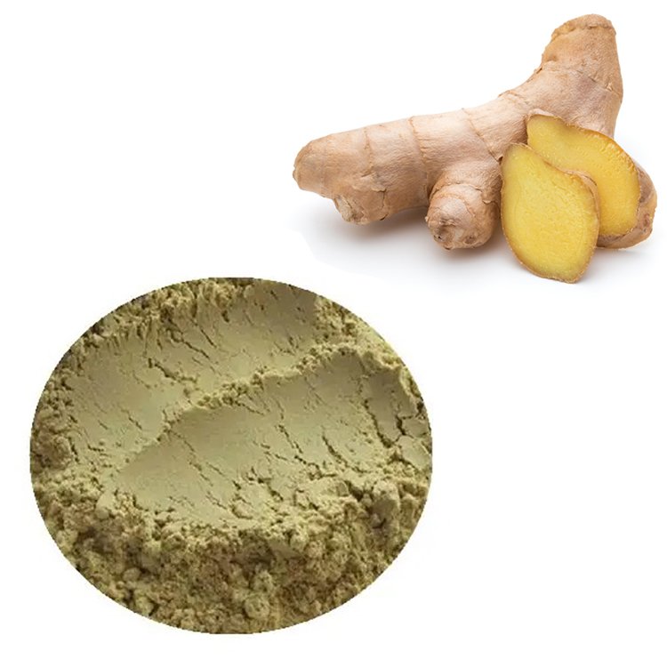 Ginger Extract powder – GRAS-certified, 6-shogaol rich, pharma-grade digestive and anti-nausea ingredient for functional beverages and supplements