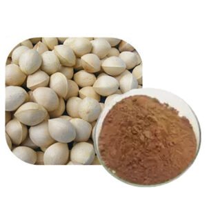 Ginkgo Biloba Extract – Memory Support & Circulatory Health Ingredient, cGMP & ISO Certified Bulk for Supplements and Functional Foods