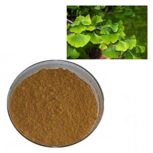 USP Grade Ginkgo Biloba Leaf Extract – 24% Flavone Glycosides for Memory, Focus & Circulation Support in Bulk Supply