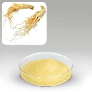 Ginseng Extract White Panax Blend for Adaptogenic Drink Premixes, Bulk Supply from cGMP Certified Facility
