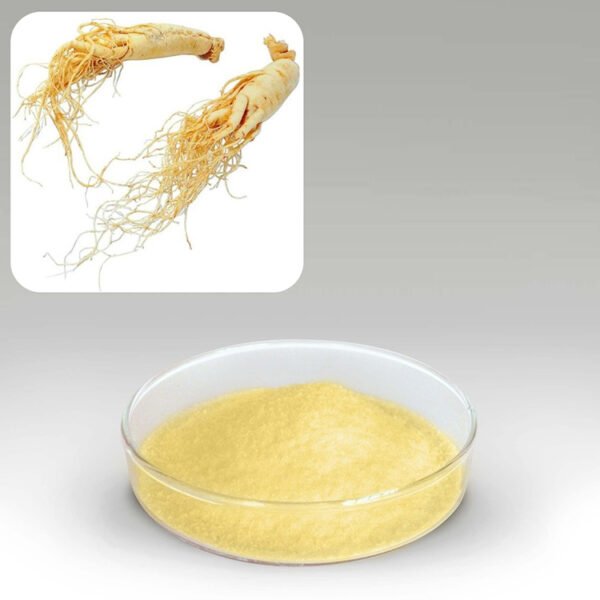 Ginseng Extract White Panax Blend for Adaptogenic Drink Premixes, Bulk Supply from cGMP Certified Facility