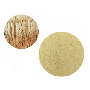 White Panax Ginseng Extract Blend – Adaptogenic Ingredient for Functional Drink Premixes | cGMP Certified Bulk Supply