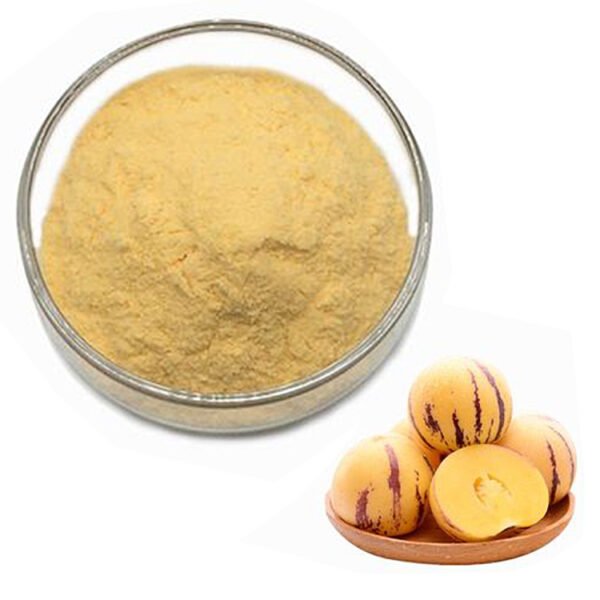 Ginseng Fruit Extract – Adaptogenic Energy & Cognitive Boost Ingredient for Functional Beverages and Brain Health Supplements | Kosher-Certified Bulk