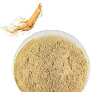 Fermented Panax Ginseng Extract 20% Ginsenosides – Immune & Energy Support for Supplements and Sports Nutrition