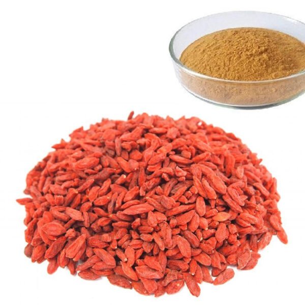 BRC Certified Goji Berry Extract – Antioxidant Superfood Ingredient for Smoothie Boosters & Health Products