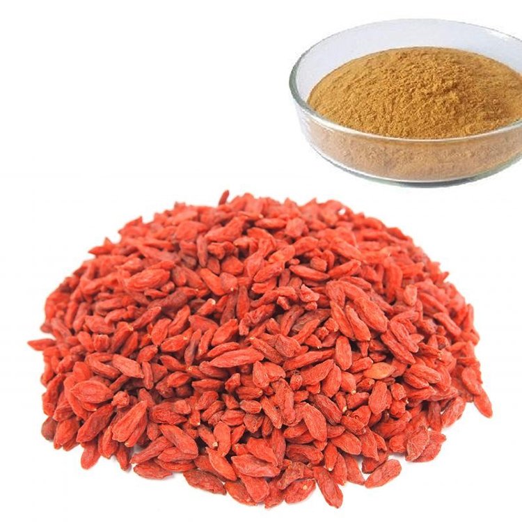 BRC Certified Goji Berry Extract – Antioxidant Superfood Ingredient for Smoothie Boosters & Health Products