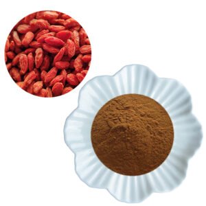 BRC Certified Goji Berry Extract – Antioxidant Superfood Ingredient – Bulk Supply for Smoothie Boosters & Functional Foods