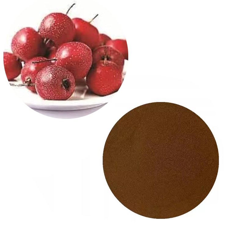EP 10.0 Monographed Hawthorn Extract for Cardiovascular Support and Heart Health Tablet Formulations – Pharma-Grade Bulk Supply