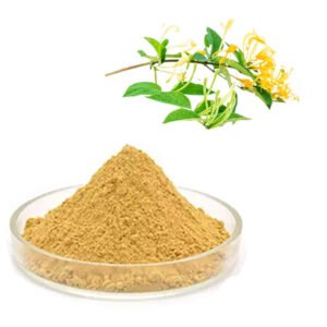 Honeysuckle Extract – Antiviral & Fever-Relieving Botanical for Throat Sprays and Pediatric Syrups, Organic Certified Bulk Supply