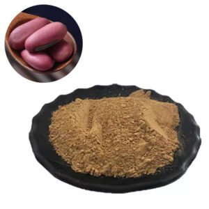 Jack Bean Extract – Plant-Based Protein & Meat Texturizer – HACCP Certified Bulk Ingredient for Metabolic Support & Vegan Food Applications