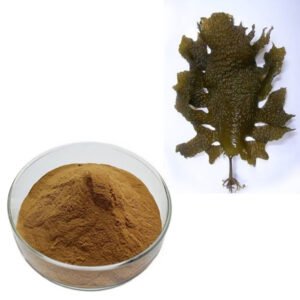 Kelp Extract – Natural Iodine Source and Detox Ingredient for Supplements and Functional Foods