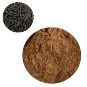 Kuding Tea Extract – Bitter Herbal Ingredient for Metabolism, Weight Control & Liver Detox | Bulk Antioxidant Supply