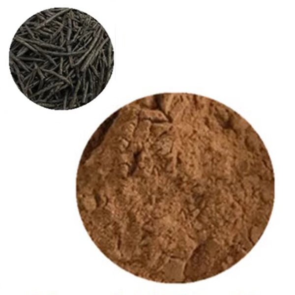 Kuding Tea Extract – Bitter Herbal Ingredient for Metabolism, Weight Control & Liver Detox | Bulk Antioxidant Supply