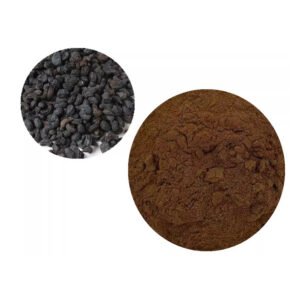Ligustrum Extract Powder – TCM Liver Detox Support & Herbal Additive for Alcoholic Beverages | Bulk Export Supply
