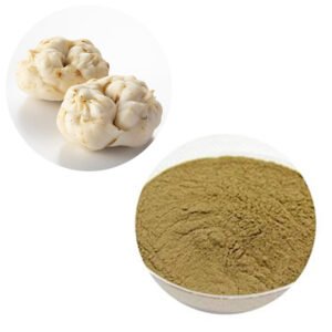 Lily Extract – Natural Antioxidant and Skin Health Ingredient, cGMP Certified Bulk Supply for Nutritional Supplements and Functional Foods