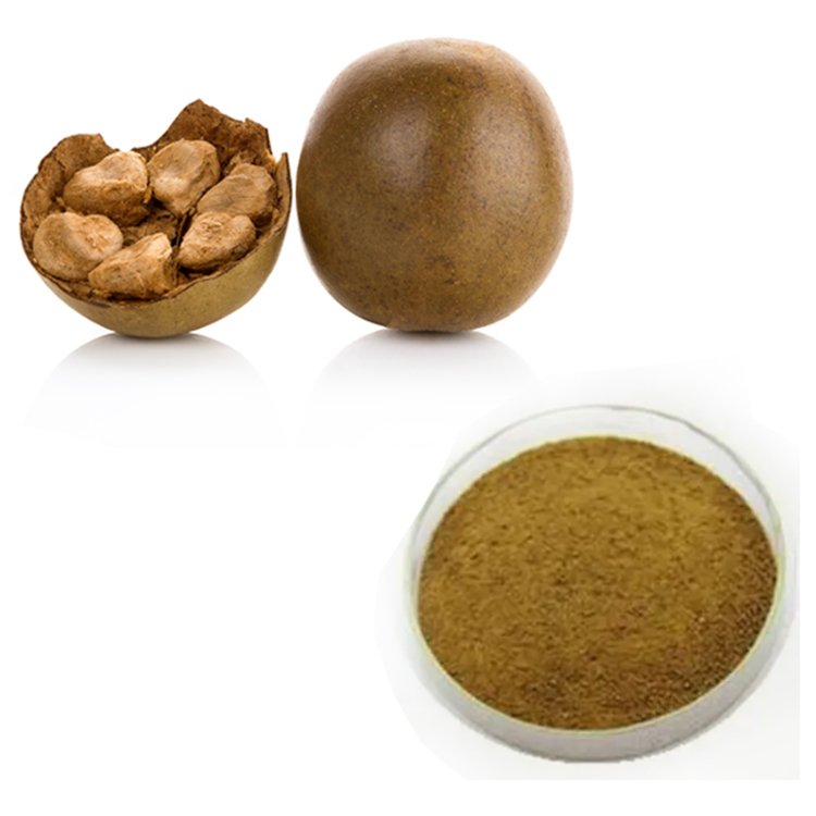 Lo Han Guo Extract powder – natural zero-calorie sweetener, Halal and Kosher certified, diabetic-friendly, bulk wholesale for snacks and beverages