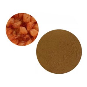 Longan Extract – TCM Adaptogen & Natural Energy Tonic for Stress Relief Gummies – Bulk Wholesale for Nutraceutical Brands