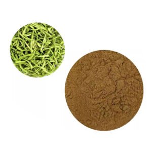 Lonicera Japonica (Honeysuckle) Extract Powder – Natural Antioxidant & Anti-inflammatory Botanical, cGMP Certified Bulk Ingredient