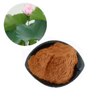 Lotus Leaf Extract EFSA-Reviewed Herbal Ingredient for Metabolic Weight Management with Food-Grade OEM Supply