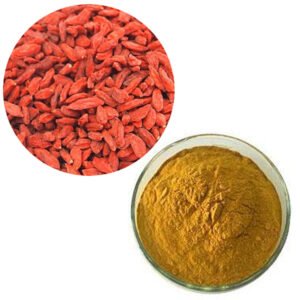 GMP Certified Lycium Barbarum Extract 50% LBP – China Pharmacopeia Grade, Vision Support & Anti-Fatigue Herbal Supplement