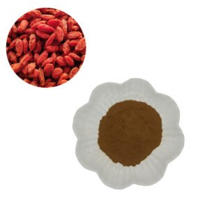 50% LBP Lycium Barbarum Extract – China Pharmacopeia Standard – Vision Support & Anti-Fatigue – GMP Certified