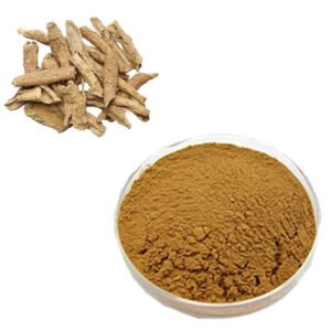 Lycium Root Bark Extract – GRAS Anti-Aging & Blood Sugar Support Ingredient for Capsules & Skincare | Pharma-Grade Bulk