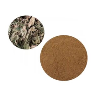 Microcos paniculata Extract – Organic Antioxidant & Anti-Inflammatory Ingredient for Skin Care and Wellness Products