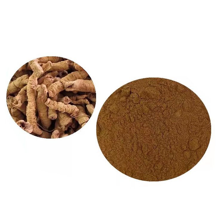 Morinda Root Extract – Ayurvedic Adaptogen & Immune Modulator for Functional Beverages and Herbal Teas | cGMP Certified