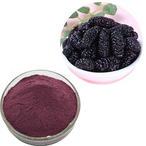 Mulberry Anthocyanin 36% Extract – JECFA Compliant Ingredient for Blood Sugar Support, Bulk Supply & OEM Services