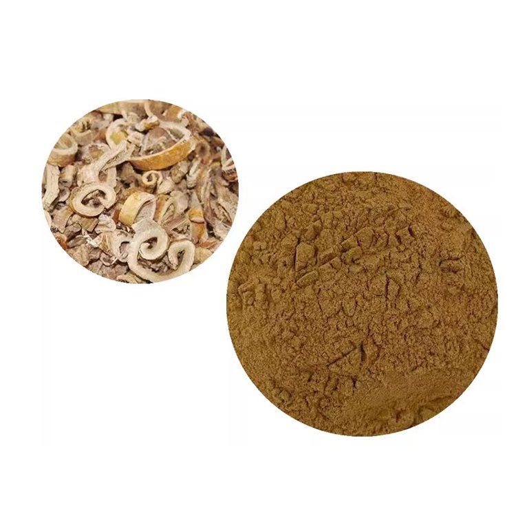 DNJ-Rich Mulberry Root Extract Powder for Metabolic Health & Blood Sugar Control – HACCP Certified Herbal Supplement Ingredient
