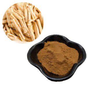 North American Ginseng Extract – USP Standard Pharma-Grade Adaptogen Powder for Energy & Elderly Vitality, Bulk Supply