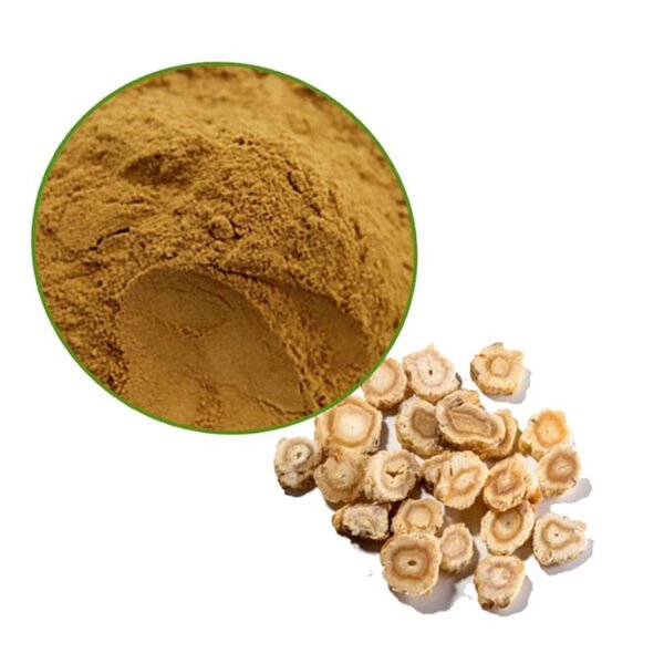North American Ginseng Extract – USP Standard Adaptogen for Energy, Elderly Vitality, and Pharma-Grade Supplement Formulations