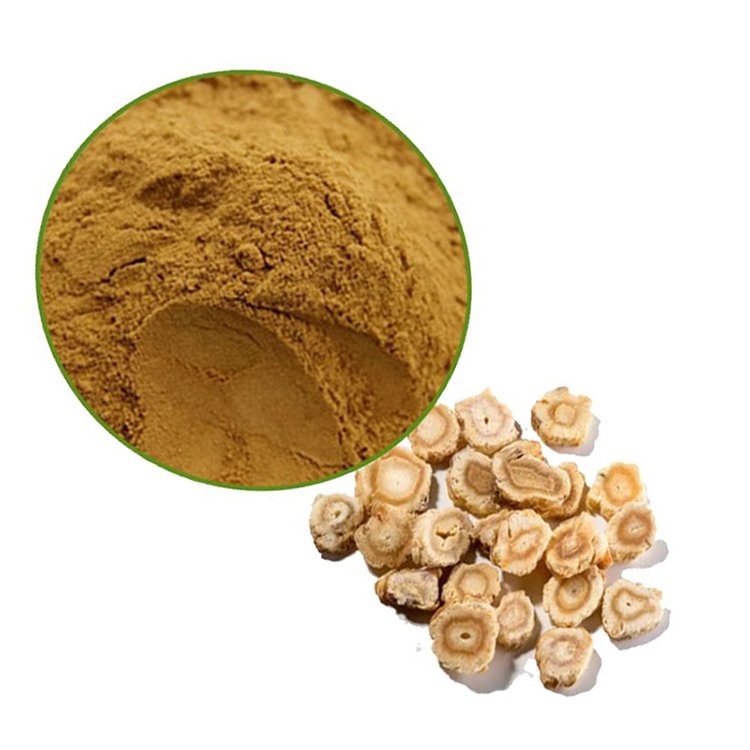 North American Ginseng Extract – USP Standard Adaptogen for Energy, Elderly Vitality, and Pharma-Grade Supplement Formulations