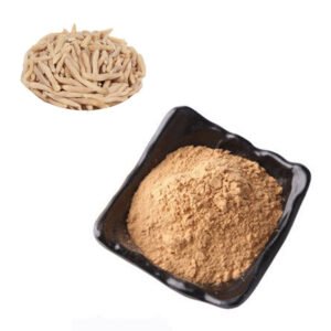 Ophiopogon Extract for Dry Cough Relief – Lung Moisturizing Respiratory Support Ingredient for Pharma-Grade Formulations