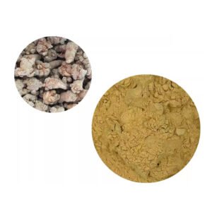 Panax Notoginseng Extract – TCM Hemostatic Powder for Trauma Care & Sports Injury Creams | USP Standard Bulk Supply