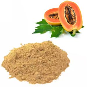 Papaya Extract – Papain-Enzyme Rich Digestive Aid and Natural Meat Tenderizer, Kosher Certified Bulk Supply