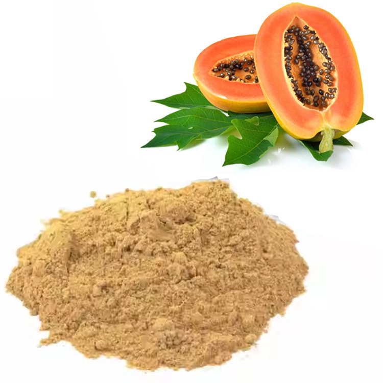 Papaya Extract – Papain-Enzyme Rich Digestive Aid and Natural Meat Tenderizer, Kosher Certified Bulk Supply