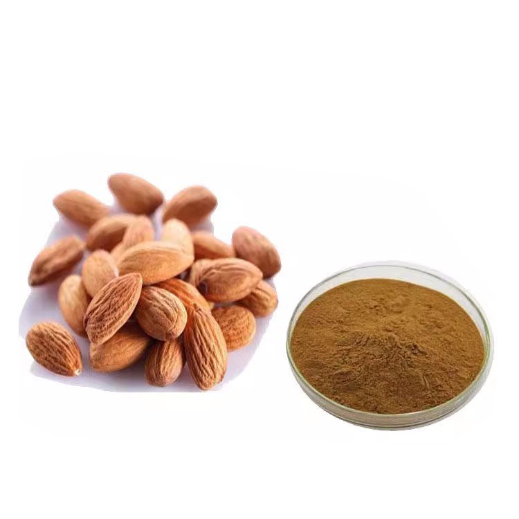 Peach Kernel Extract – Amygdalin-Rich Pharma-Grade Ingredient for Circulation & Respiratory Support | Certified for Global Export
