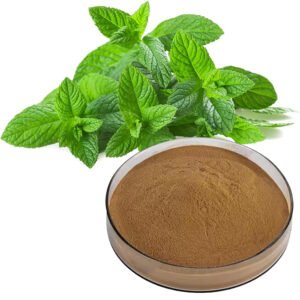 Peppermint Extract MEF Blend, Cooling Agent for Digestive Health & Oral Care, Food-Grade & Pharma-Grade Certified Supply