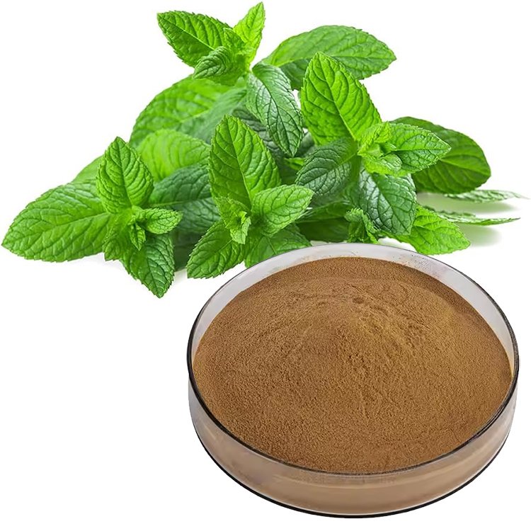 Peppermint Extract MEF Blend, Cooling Agent for Digestive Health & Oral Care, Food-Grade & Pharma-Grade Certified Supply