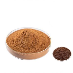 Perilla Seed Extract – Omega-Rich & Antioxidant Botanical Ingredient – Food-Grade & Pharmaceutical-Grade Bulk Supply