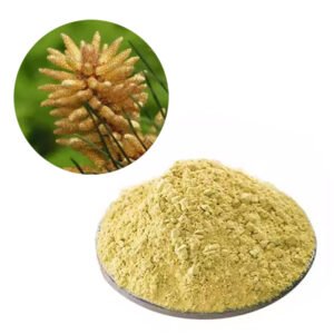 Pinus Pollen Extract – Natural Testosterone Booster for Sports Nutrition Powders, Certified Organic Bulk Supply