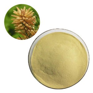 Pinus Pollen Extract – Natural Testosterone & Vitality Support – Organic Sports Nutrition Powder – Certified Bulk Wholesale Supply