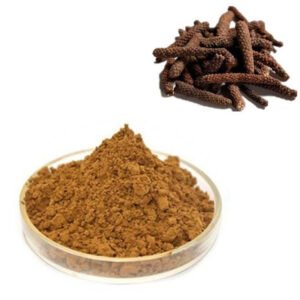 Piper Longum Extract – Long Pepper Digestive & Immune Support Botanical – Food & Pharma Grade Bulk Supplier