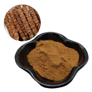 Prunella Vulgaris Extract – Natural Throat Care & Immune Support – Organic, Halal, Kosher Certified Bulk Ingredient for Lozenges & Tea Blends