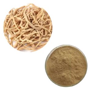 Pseudostellaria Extract – Pediatric Immune & Recovery Tonic for Children’s Nutrition Powders & Syrups (Bulk Supply)