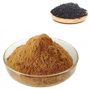 Psoralea Extract – Bone Growth Activator & Skin Health Botanical | cGMP Certified Bulk Herbal Ingredient