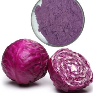 Purple Cabbage Anthocyanins – GRAS & JECFA-Certified Natural Colorant and Antioxidant for Beverages and Cosmetics, Bulk Pharma-Grade Supply